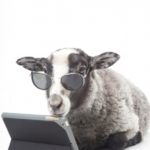 契約しているオンラインストレージサービス終了の知らせが来たんだけど